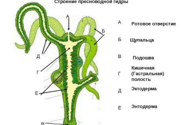 Кракен даркнет зеркало пв