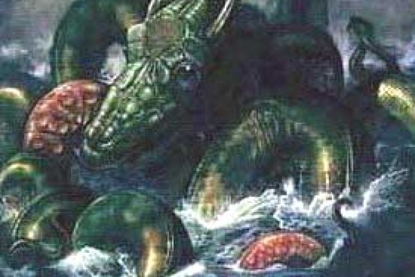 Kraken зеркало kraken link top