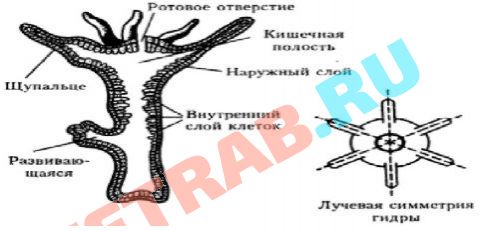 Кракен площадка нарко